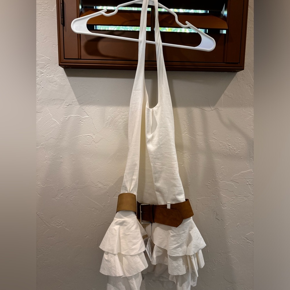 Zara Dress with belt